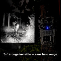 Cliché de nuit en infrarouge pris par la caméra de chasse à 30 mètres