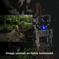 Image couleur prise à l'aube, en faible luminosité, par le piège photo