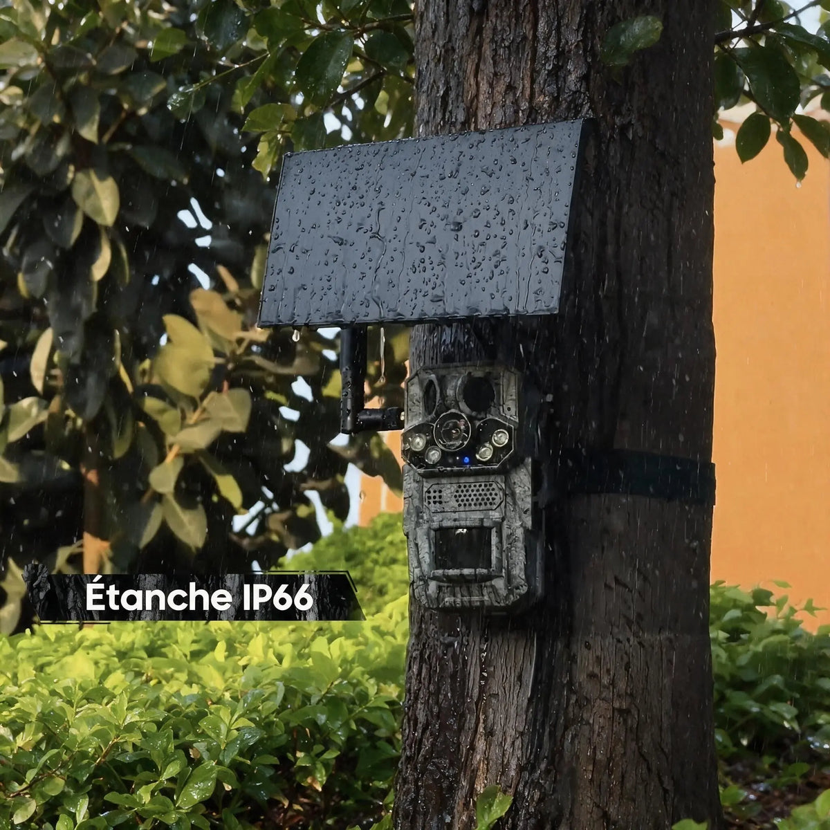 Caméra de chasse étanche IP66 sous la pluie, boîtier motif écorce