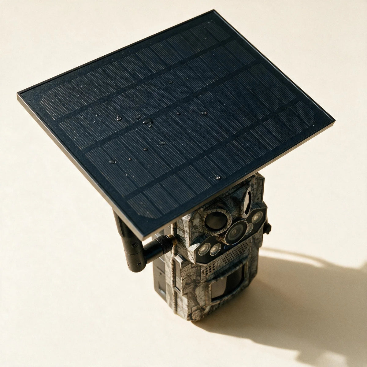 Panneau solaire orientable monté au-dessus de la caméra de chasse 4G, vu de dessus