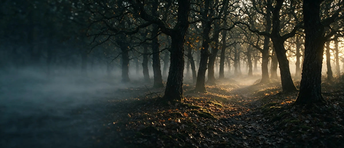Coulée de gibier dans une forêt de chênes français à l'aube, brume au sol et lumière rasante entre les troncs